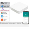Интеллектуальный Bluetooth-шлюз NOVOTECH GLAT 359392 GATE NT24 000 Tuya Smart Life для умного дома IP20 белый