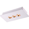 Светильник NOVOTECH CARO LED