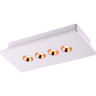 Светильник NOVOTECH CARO LED