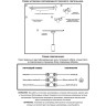 Трековый светильник NOVOTECH ARUM 357692