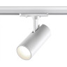 Трековый светильник NOVOTECH SELENE 359152