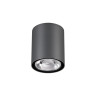 Уличный потолочный светильник NOVOTECH TUMBLER 358011 NV-358011